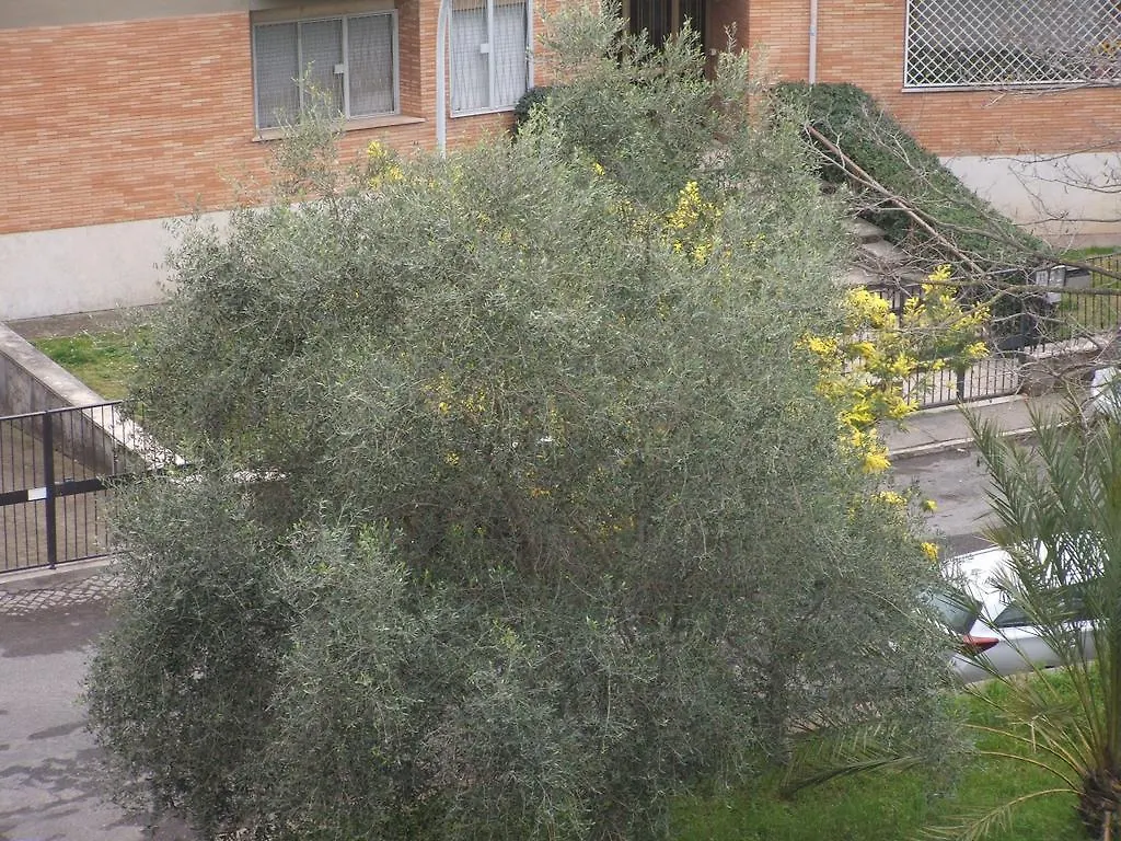 B&B La Cubanina Rome 0*,  Italy